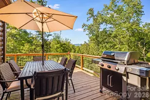 576 Pheasant St, Lake Lure, NC 28746 - Photo 22