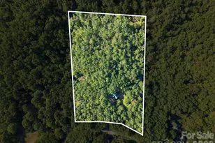 418 Piney Creek Dr, Lake Lure, NC 28746 - Photo 4
