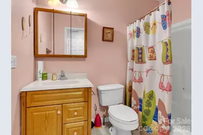 21 Eden Lane, Waynesville, NC 28785 - Photo 24