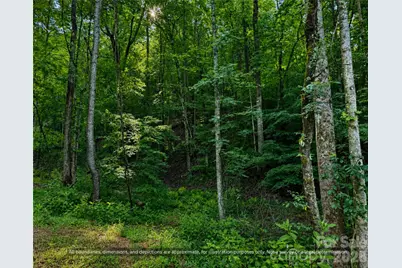 99999 Boone Gap Lane, Taylorsville, NC 28681 - Photo 12