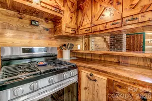 169 Laurel Creek Dr, Hendersonville, NC 28792 - Photo 18