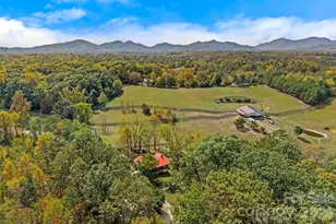 1305 Jenkins Valley Rd, Alexander, NC 28701 - Photo 30