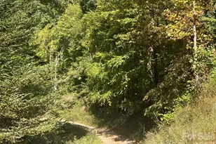 00 Gibson Branch Rd, Clyde, NC 28721 - Photo 1