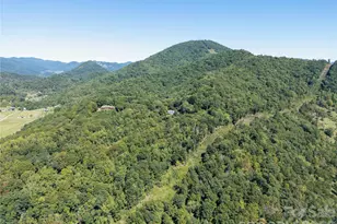 989 Brigadoon Dr, Clyde, NC 28721 - Photo 42