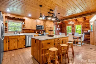 127 Cattail Rd, Lake Lure, NC 28746 - Photo 20