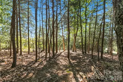 656 Arbra Mountain Way, Bostic, NC 28018 - Photo 28
