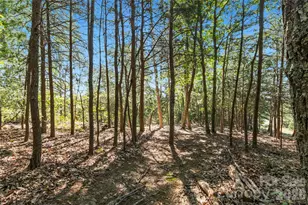 656 Arbra Mountain Wy, Bostic, NC 28018 - Photo 28