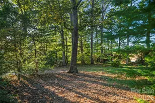 9 Fullam Dr, Arden, NC 28704 - Photo 44