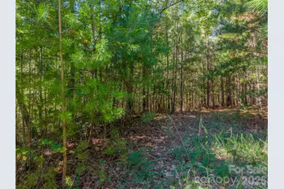 0 Westridge Drive #Lot 159, Bostic, NC 28018 - Photo 6