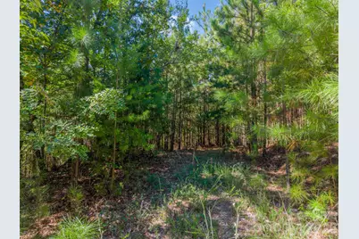 0 Westridge Drive #Lot 159, Bostic, NC 28018 - Photo 4
