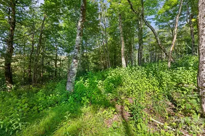 39 Skycamp Trail, Banner Elk, NC 28604 - Photo 4