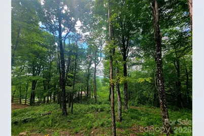 39 Skycamp Trail, Banner Elk, NC 28604 - Photo 20