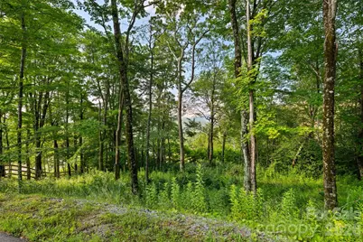39 Skycamp Trail, Banner Elk, NC 28604 - Photo 18
