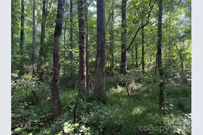 Tbd Sincerity Road, Monroe, NC 28110 - Photo 12