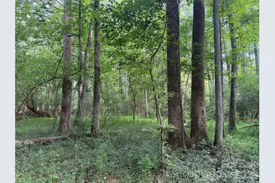 Tbd Sincerity Road, Monroe, NC 28110 - Photo 6