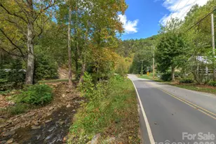 589 Little East Fork Rd, Canton, NC 28716 - Photo 20
