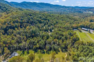 103 Garren Shady Wy, Fairview, NC 28730 - Photo 46