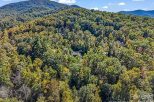 103 Garren Shady Wy, Fairview, NC 28730 - Photo 48