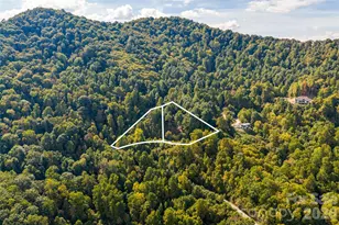 342 Doubletop Ln, Candler, NC 28715 - Photo 46