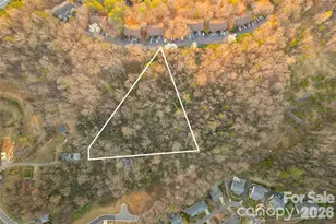 9999 Weaver Hill Rd, Asheville, NC 28805 - Photo 2