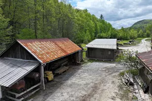 688 Blueberry Farm Rd, Zirconia, NC 28790 - Photo 42