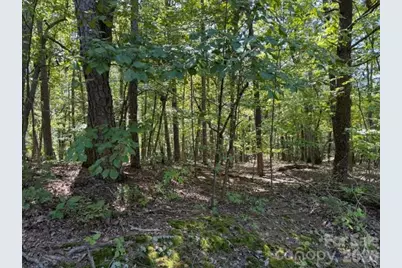 00 Washington Ridge Road, Statesville, NC 28677 - Photo 1