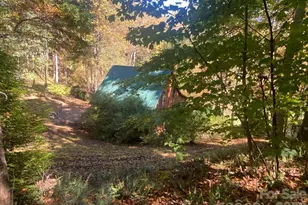 349 Barefoot Cv, Burnsville, NC 28714 - Photo 26