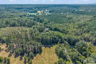 194 Lyles Pond Rd, Rutherfordton, NC 28139 - Photo 48