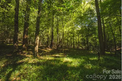 394 Rainbow Trout Drive, Hays, NC 28635 - Photo 38