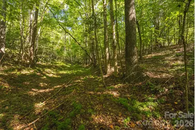 394 Rainbow Trout Drive, Hays, NC 28635 - Photo 12