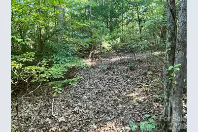 4.63 Acres Jessie Mays Lane, Taylorsville, NC 28681 - Photo 16