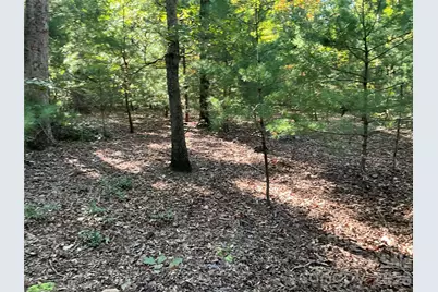4.63 Acres Jessie Mays Lane, Taylorsville, NC 28681 - Photo 24