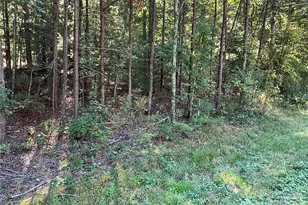 4 63 Acres Jessie Mays Ln, Taylorsville, NC 28681 - Photo 1