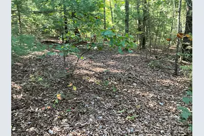4.63 Acres Jessie Mays Lane, Taylorsville, NC 28681 - Photo 14