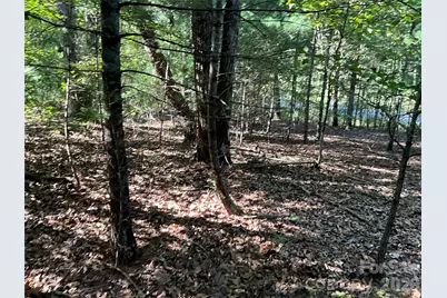 4.63 Acres Jessie Mays Lane, Taylorsville, NC 28681 - Photo 18