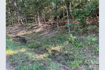 4.63 Acres Jessie Mays Lane, Taylorsville, NC 28681 - Photo 6