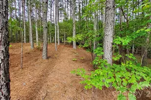 0 Sunset Dr, Mill Spring, NC 28756 - Photo 20