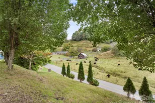 1277 Henson Cove Rd, Canton, NC 28716 - Photo 6