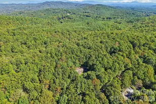 198 Woods End Dr, Hendersonville, NC 28739 - Photo 38