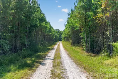 0000 Narrow Bridge Road #3, Chester, SC 29706 - Photo 28