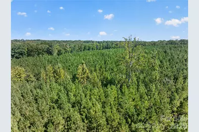 0000 Narrow Bridge Road #3, Chester, SC 29706 - Photo 36