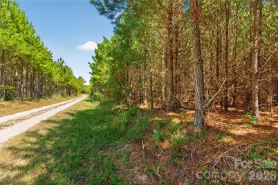 0000 Narrow Bridge Road #3, Chester, SC 29706 - Photo 4
