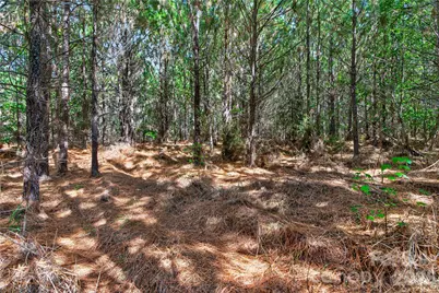 0000 Narrow Bridge Road #3, Chester, SC 29706 - Photo 12