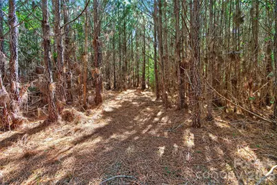 0000 Narrow Bridge Road #3, Chester, SC 29706 - Photo 24