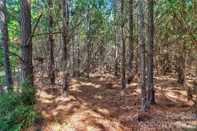 0000 Narrow Bridge Road #3, Chester, SC 29706 - Photo 14