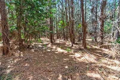 0000 Narrow Bridge Road #3, Chester, SC 29706 - Photo 16