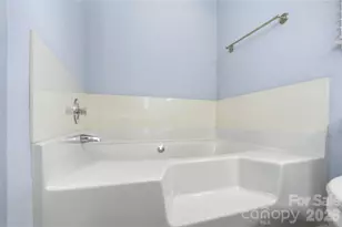119 Shining Armor Ct, Mooresville, NC 28117 - Photo 22