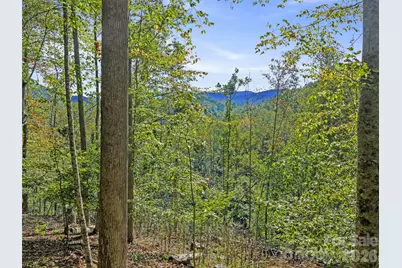 000 Double Island Road, Burnsville, NC 28714 - Photo 28