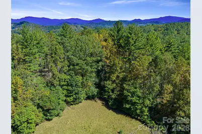 000 Double Island Road, Burnsville, NC 28714 - Photo 8