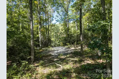 Tbd Orange Plum Lane #4, Asheville, NC 28803 - Photo 8
